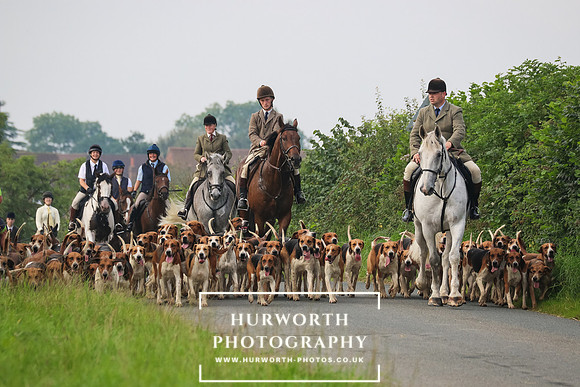 Hurworth Hunt 205