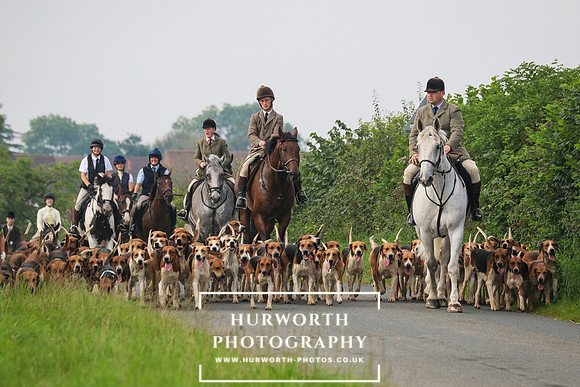 Hurworth Hunt 206
