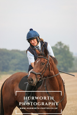 Hurworth Hunt 240