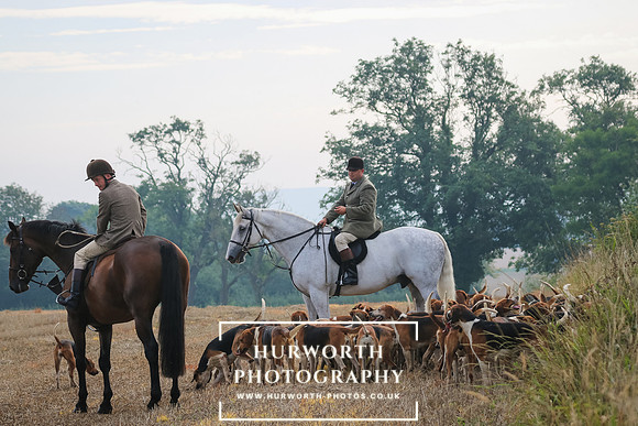 Hurworth Hunt 238