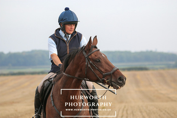 Hurworth Hunt 241