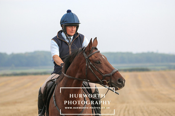 Hurworth Hunt 242