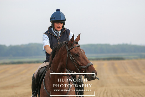 Hurworth Hunt 243