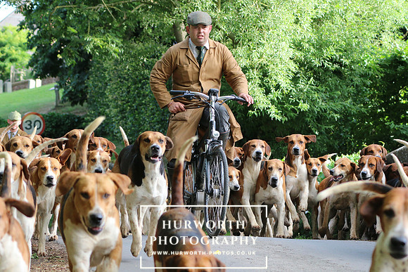 Hurworth Hunt 30