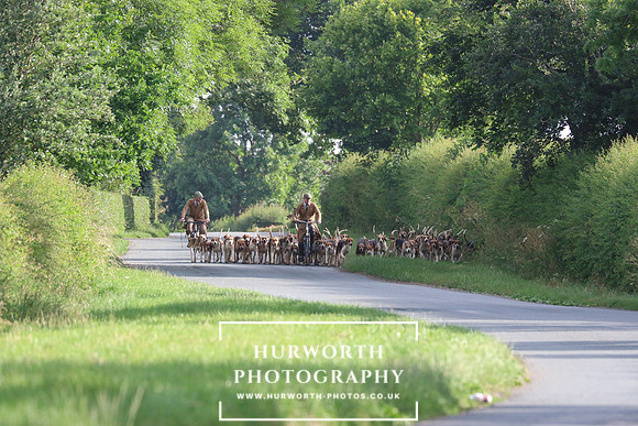 Hurworth Hunt 41