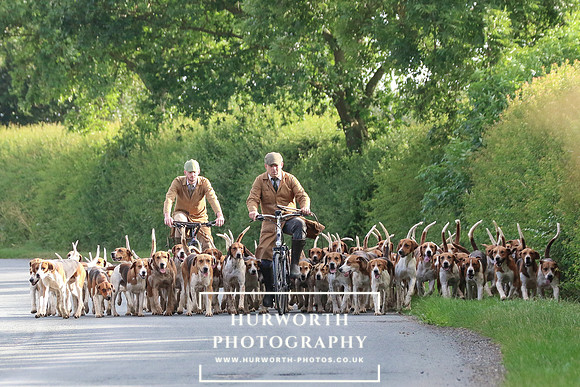 Hurworth Hunt 51