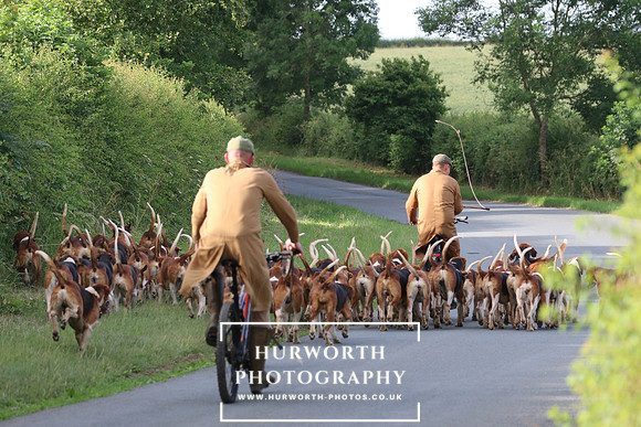 Hurworth Hunt 59