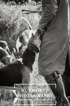 Hurworth Hunt 124