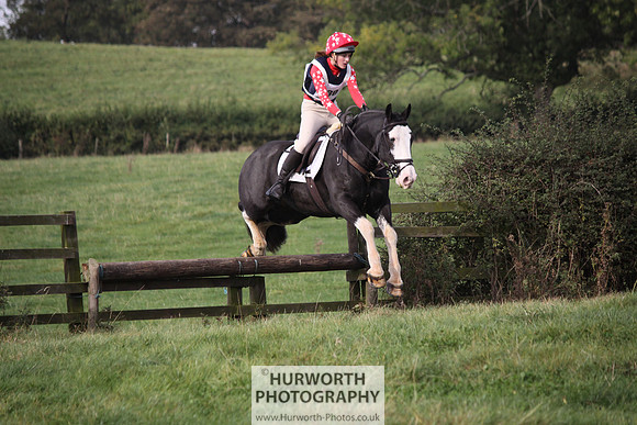 Hurworth Bilsdale Hedge Hop 109