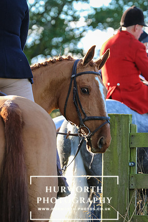 Hurworth Hunt 493