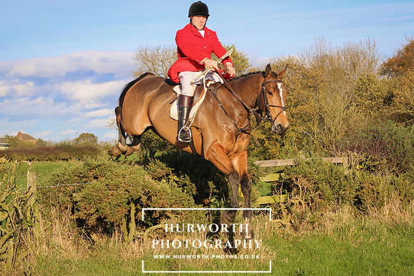 Hurworth Hunt 498