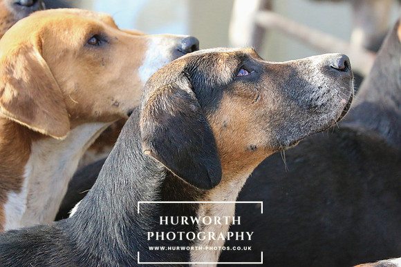 Hurworth Hunt 016