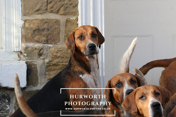 Hurworth Hunt 025