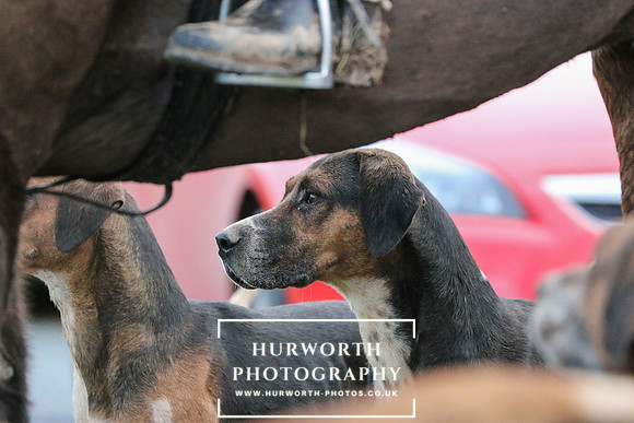 Hurworth Hunt 146