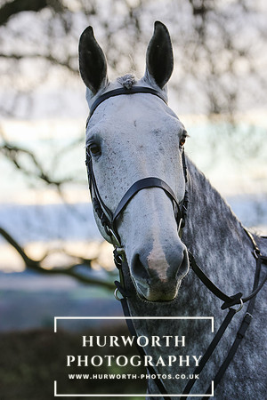 Hurworth Hunt 008