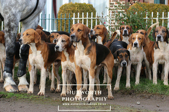 Hurworth Hunt 030