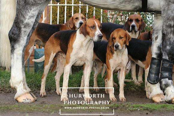 Hurworth Hunt 033