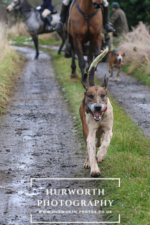Hurworth Hunt 081