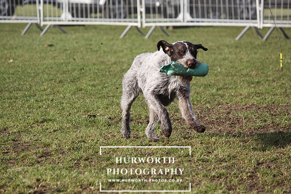 Shooting Show Day 2  013