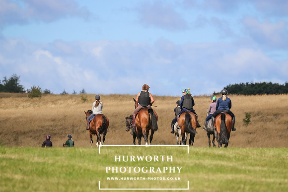 Hurworth Pleasure Ride 312