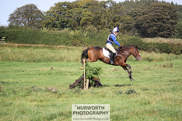 Hurworth Bilsdale Hedge Hop 342