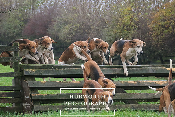 Hurworth Hunt  130