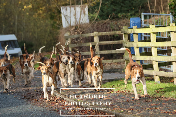 Hurworth Hunt  167