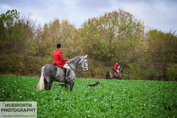 Hurworth Hunt 374
