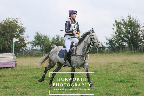 Hurworth Hunt 313