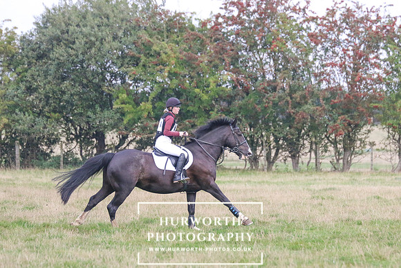 Hurworth Hunt 326