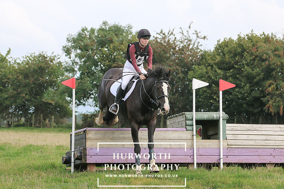 Hurworth Hunt 339