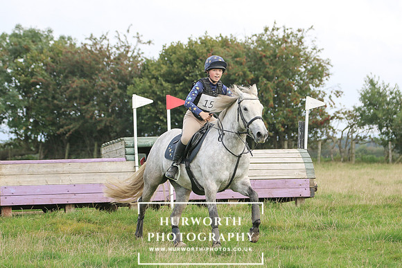 Hurworth Hunt 381