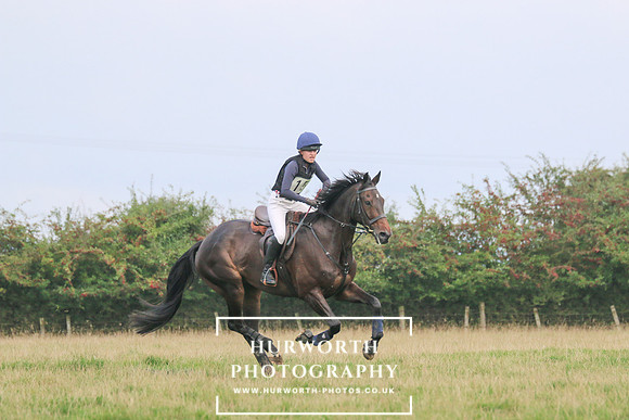 Hurworth Hunt 393