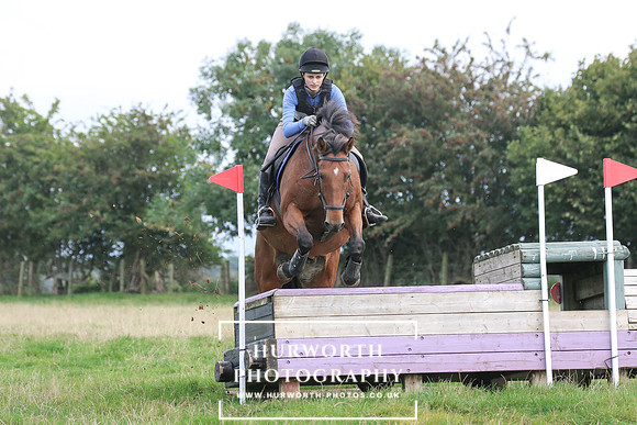 Hurworth Hunt 431