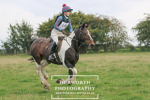 Hurworth Hunt 493