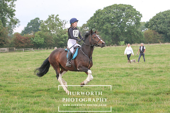 Hurworth Hunt 212