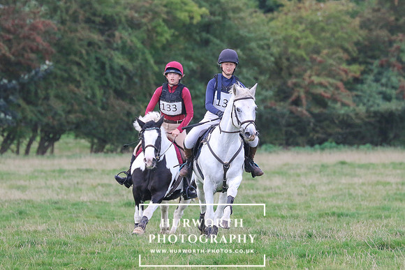 Hurworth Hunt 238