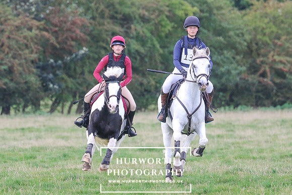 Hurworth Hunt 240
