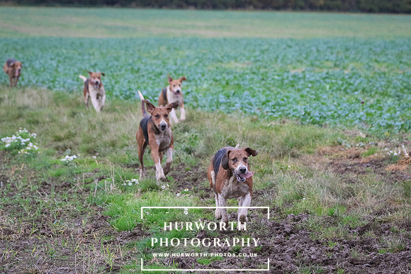 Hurworth Hunt  391
