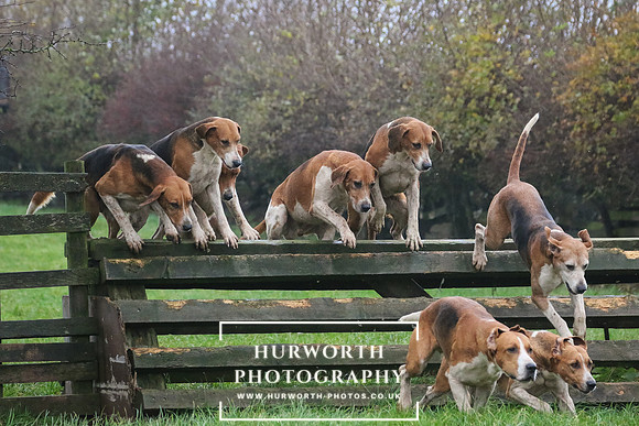 Hurworth Hunt  132