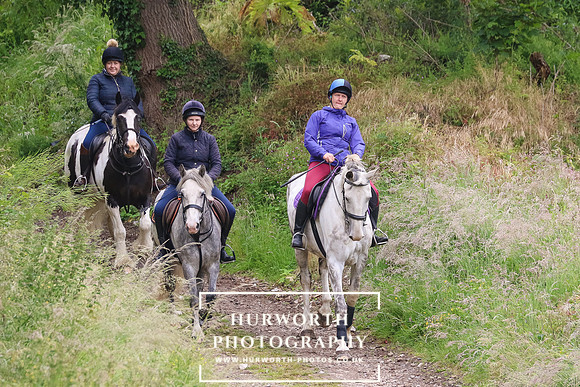 Hurworth Hunt 47