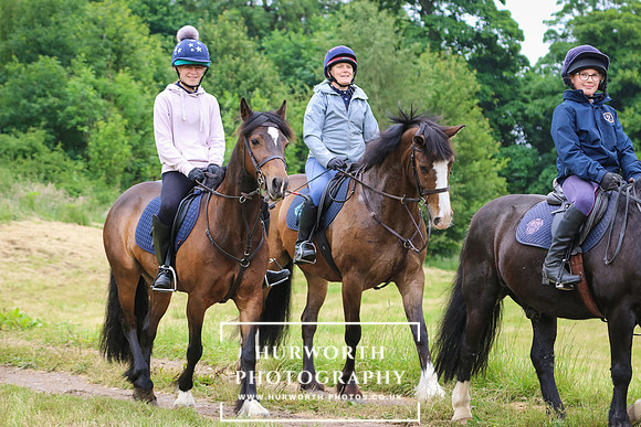 Hurworth Hunt 101