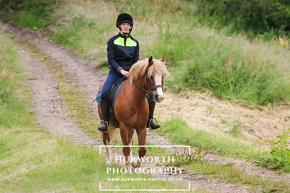 Hurworth Hunt 112