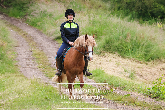 Hurworth Hunt 113