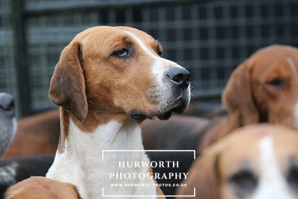 Hurworth Hunt  99