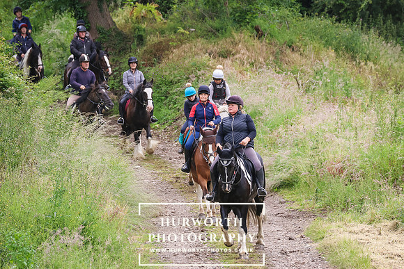 Hurworth Hunt 137