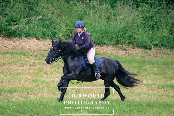Hurworth Hunt 142