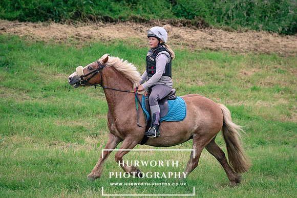 Hurworth Hunt 146