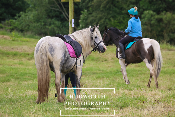 Hurworth Hunt 152
