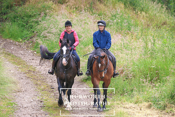 Hurworth Hunt 181
